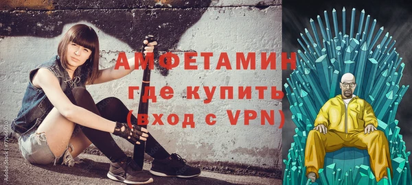 ГАЛЛЮЦИНОГЕННЫЕ ГРИБЫ Гусь-Хрустальный