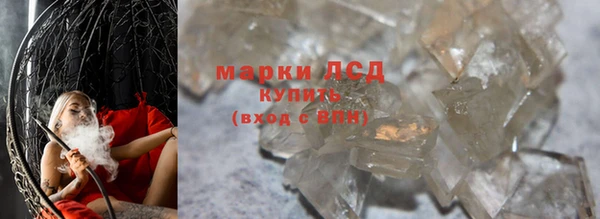 ГАЛЛЮЦИНОГЕННЫЕ ГРИБЫ Гусь-Хрустальный