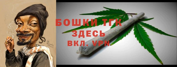 ГАЛЛЮЦИНОГЕННЫЕ ГРИБЫ Гусь-Хрустальный