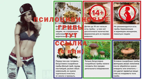 ГАЛЛЮЦИНОГЕННЫЕ ГРИБЫ Гусь-Хрустальный