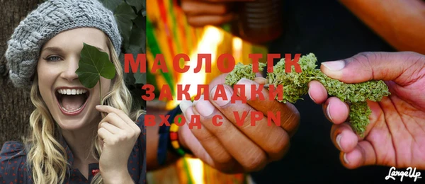 ГАЛЛЮЦИНОГЕННЫЕ ГРИБЫ Гусь-Хрустальный