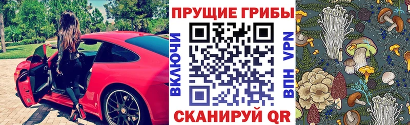 Галлюциногенные грибы Psilocybe  где купить наркотик  Пикалёво 